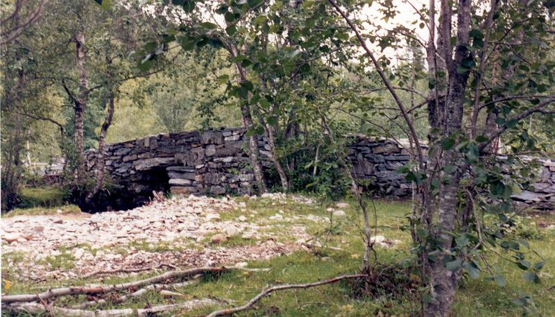 c5 Bridge2.jpg